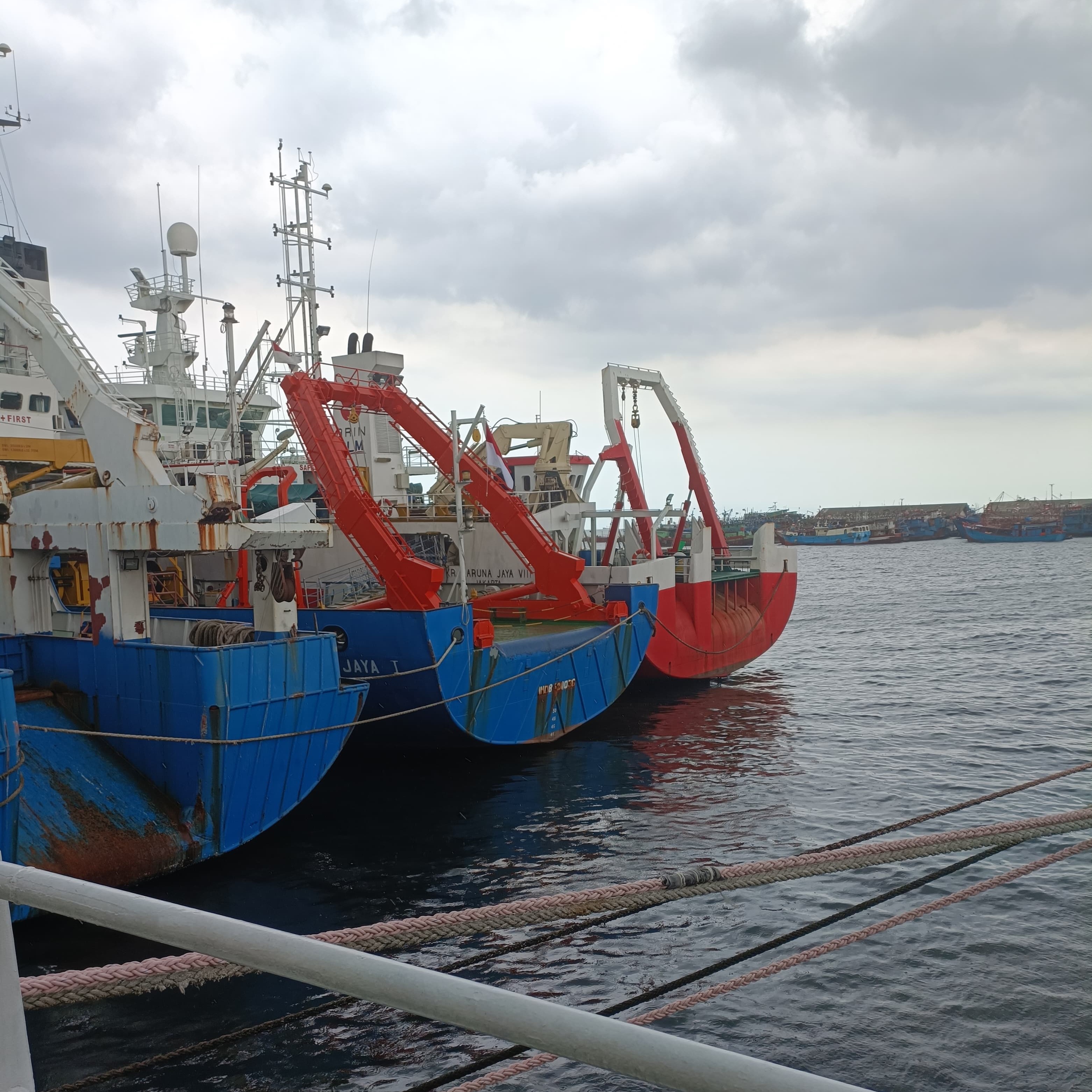 Environmental consultant in green safety vest and helmet examining plants and soil in a forested area with sunlight filtering through trees